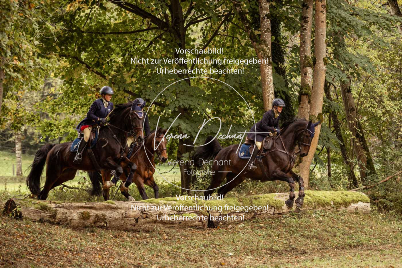 Schleppjagd_Herrenchiemsee-116 Schleppjagd_Herrenchiemsee-116