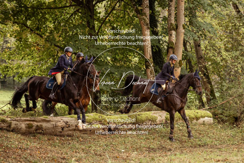 Schleppjagd_Herrenchiemsee-117 Schleppjagd_Herrenchiemsee-117