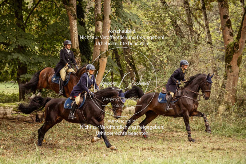 Schleppjagd_Herrenchiemsee-119 Schleppjagd_Herrenchiemsee-119