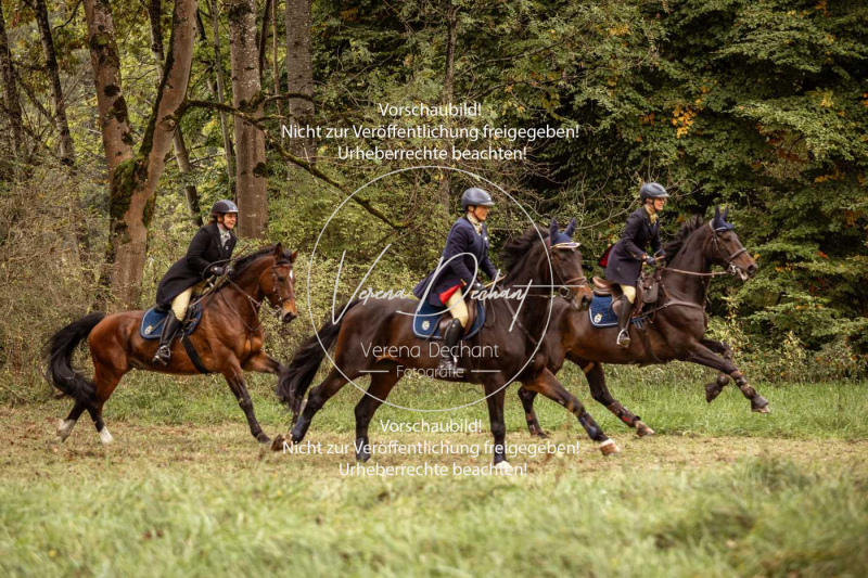 Schleppjagd_Herrenchiemsee-122 Schleppjagd_Herrenchiemsee-122