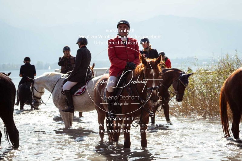 Schleppjagd_Herrenchiemsee-126 Schleppjagd_Herrenchiemsee-126