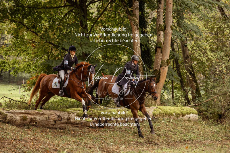 Schleppjagd_Herrenchiemsee-127 Schleppjagd_Herrenchiemsee-127