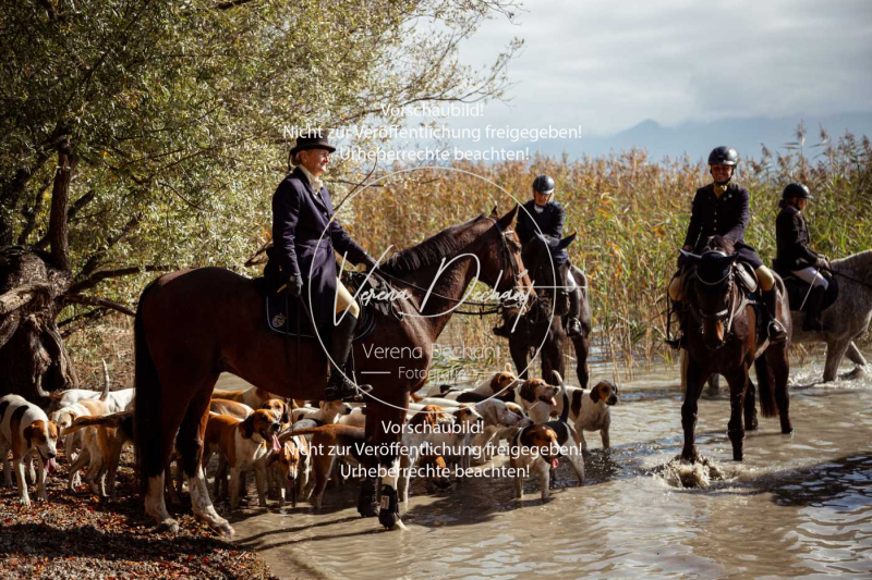 Schleppjagd_Herrenchiemsee-128-2 Schleppjagd_Herrenchiemsee-128-2