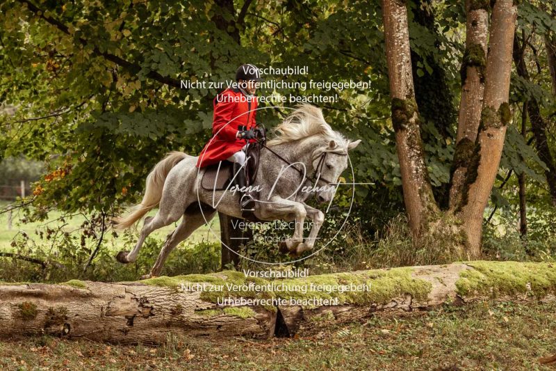 Schleppjagd_Herrenchiemsee-130 Schleppjagd_Herrenchiemsee-130