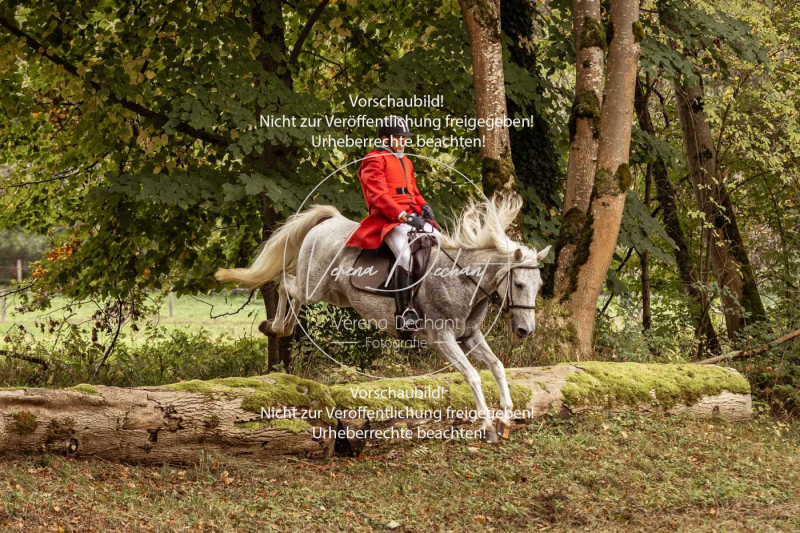 Schleppjagd_Herrenchiemsee-131 Schleppjagd_Herrenchiemsee-131