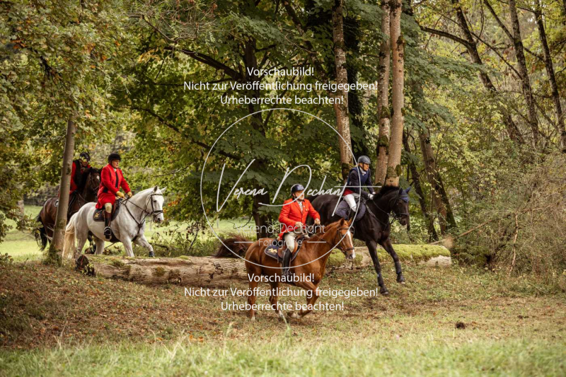 Schleppjagd_Herrenchiemsee-134 Schleppjagd_Herrenchiemsee-134