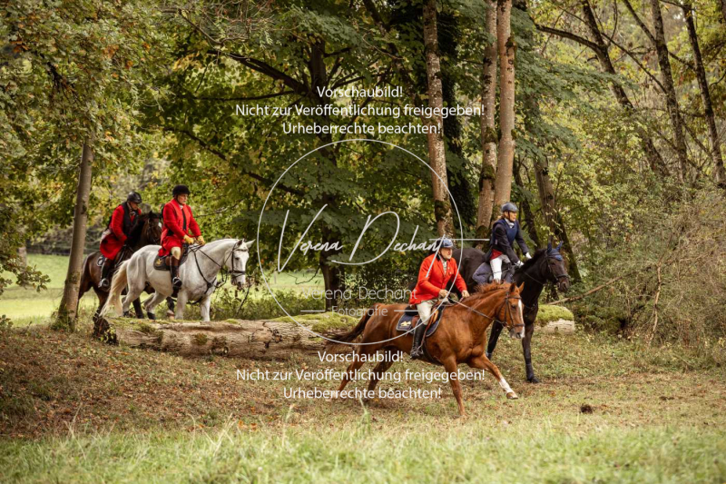 Schleppjagd_Herrenchiemsee-135 Schleppjagd_Herrenchiemsee-135