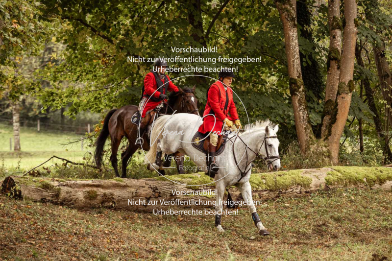 Schleppjagd_Herrenchiemsee-137 Schleppjagd_Herrenchiemsee-137