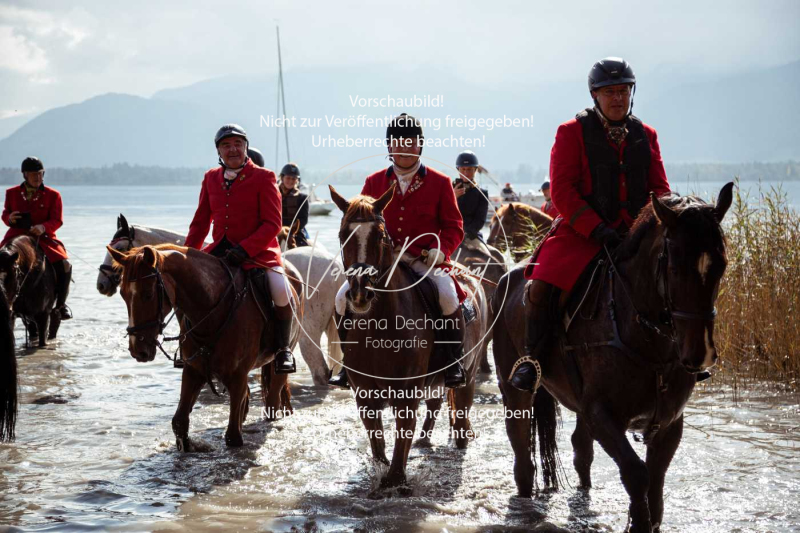 Schleppjagd_Herrenchiemsee-138 Schleppjagd_Herrenchiemsee-138