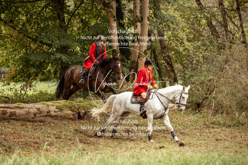 Schleppjagd_Herrenchiemsee-140 Schleppjagd_Herrenchiemsee-140