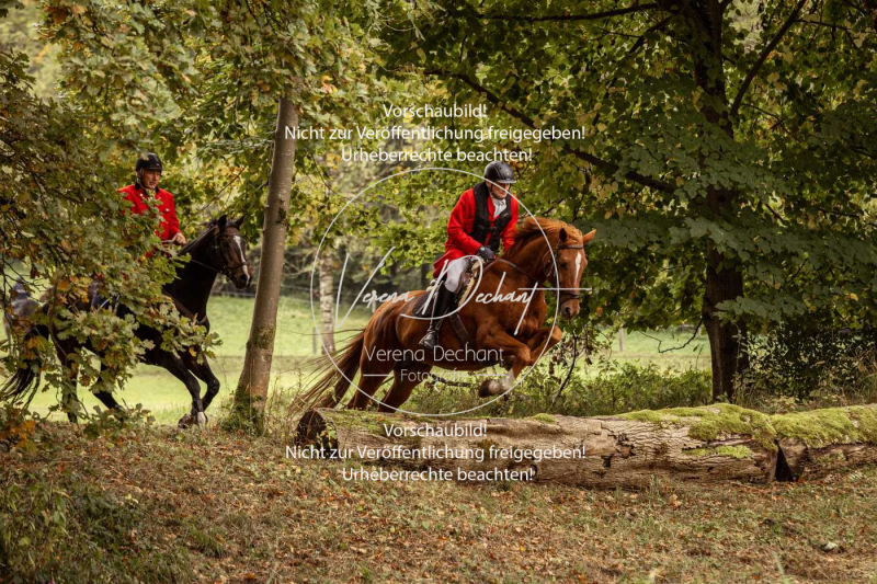 Schleppjagd_Herrenchiemsee-142 Schleppjagd_Herrenchiemsee-142