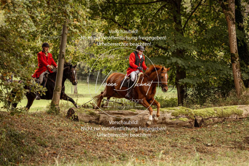 Schleppjagd_Herrenchiemsee-143 Schleppjagd_Herrenchiemsee-143