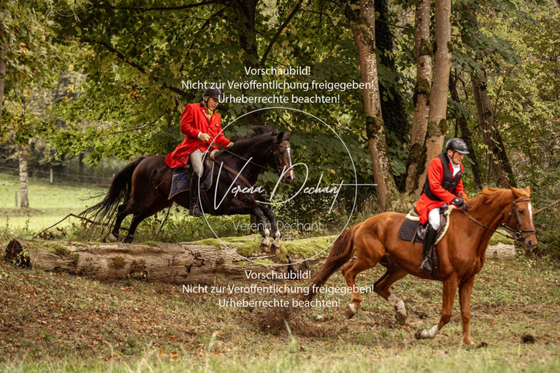 Schleppjagd_Herrenchiemsee-145 Schleppjagd_Herrenchiemsee-145