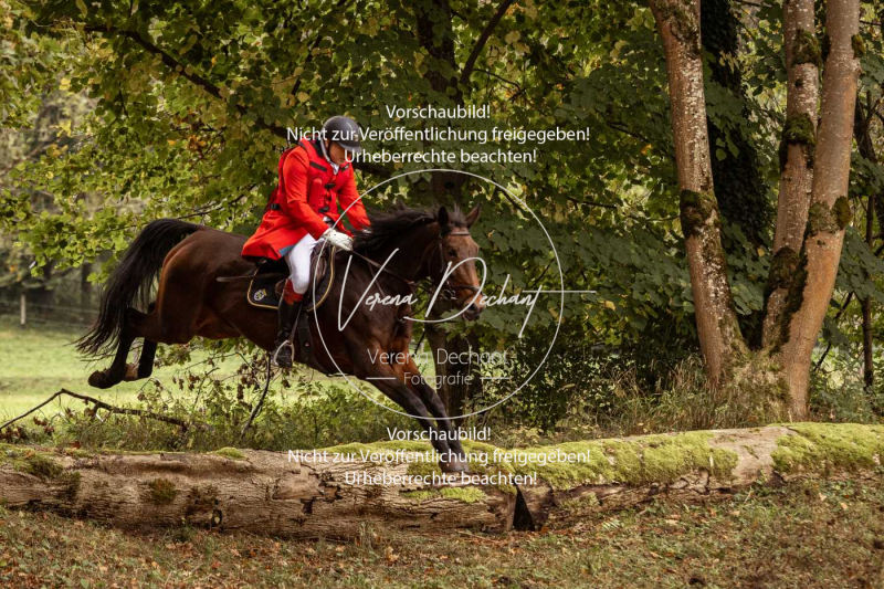 Schleppjagd_Herrenchiemsee-148 Schleppjagd_Herrenchiemsee-148