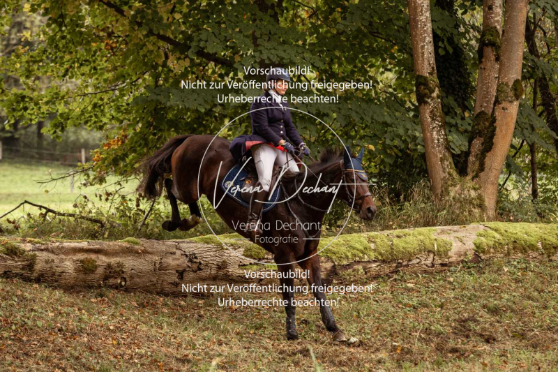 Schleppjagd_Herrenchiemsee-152 Schleppjagd_Herrenchiemsee-152