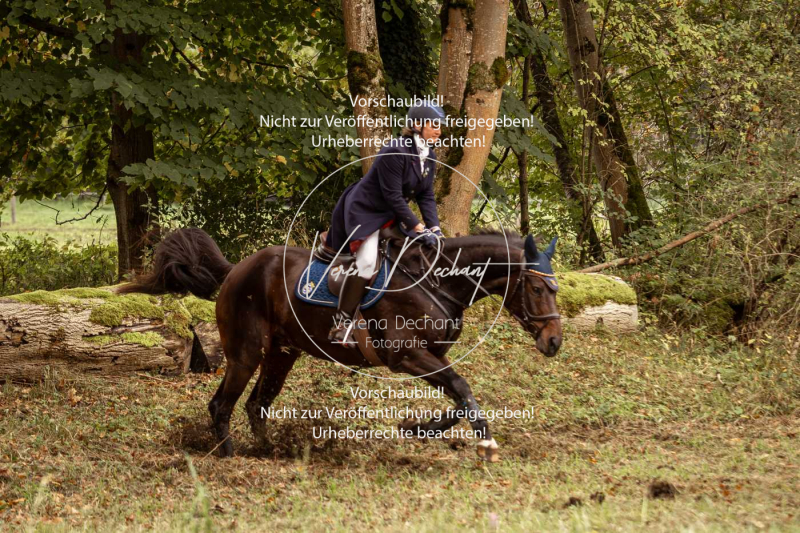 Schleppjagd_Herrenchiemsee-154 Schleppjagd_Herrenchiemsee-154