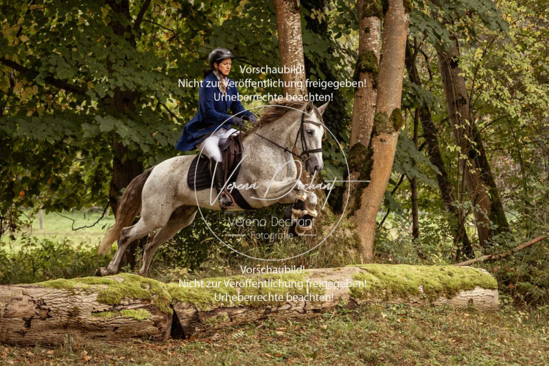 Schleppjagd_Herrenchiemsee-158 Schleppjagd_Herrenchiemsee-158