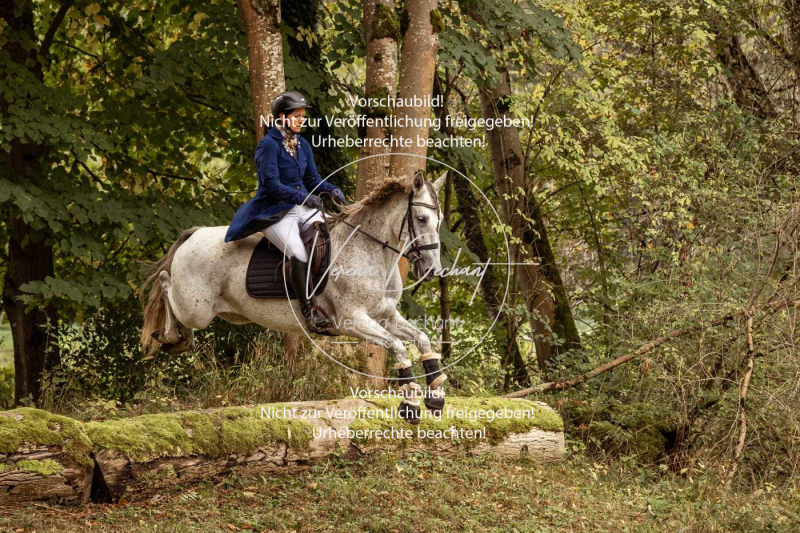 Schleppjagd_Herrenchiemsee-159 Schleppjagd_Herrenchiemsee-159