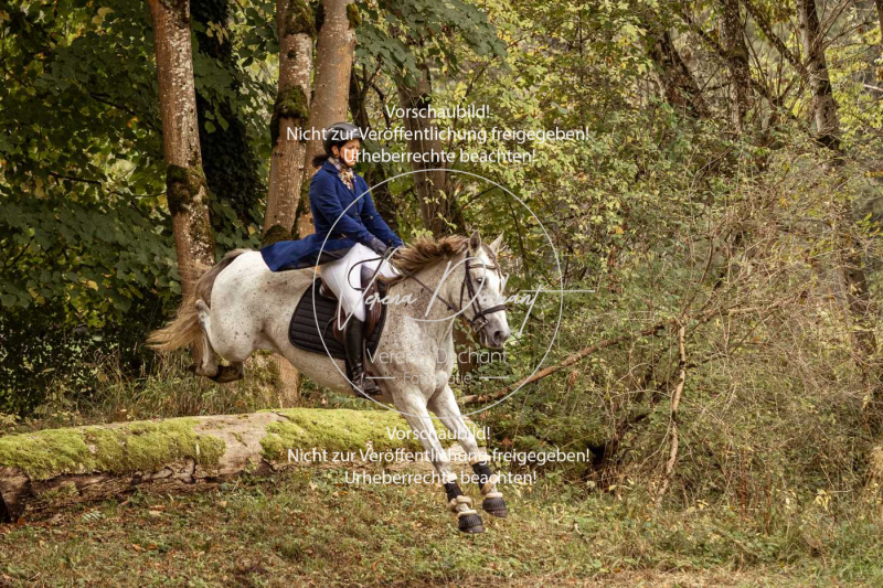 Schleppjagd_Herrenchiemsee-160 Schleppjagd_Herrenchiemsee-160