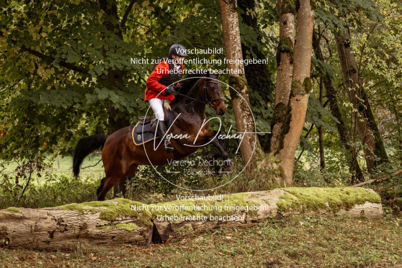 Schleppjagd_Herrenchiemsee-161 Schleppjagd_Herrenchiemsee-161