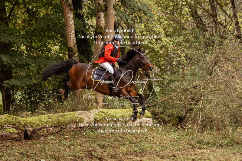 Schleppjagd_Herrenchiemsee-163 Schleppjagd_Herrenchiemsee-163