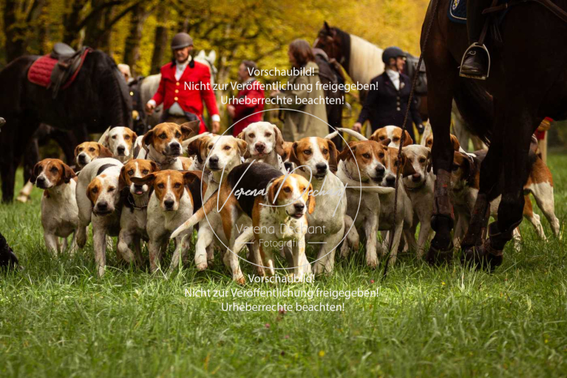 Schleppjagd_Herrenchiemsee-164-2 Schleppjagd_Herrenchiemsee-164-2