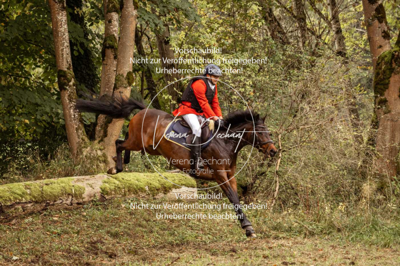 Schleppjagd_Herrenchiemsee-164 Schleppjagd_Herrenchiemsee-164