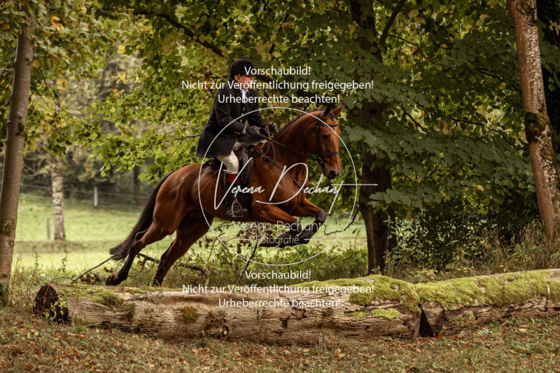 Schleppjagd_Herrenchiemsee-165 Schleppjagd_Herrenchiemsee-165