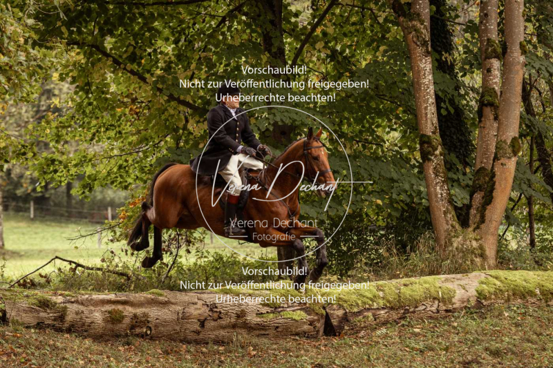 Schleppjagd_Herrenchiemsee-166 Schleppjagd_Herrenchiemsee-166