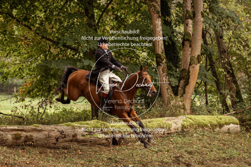 Schleppjagd_Herrenchiemsee-167 Schleppjagd_Herrenchiemsee-167