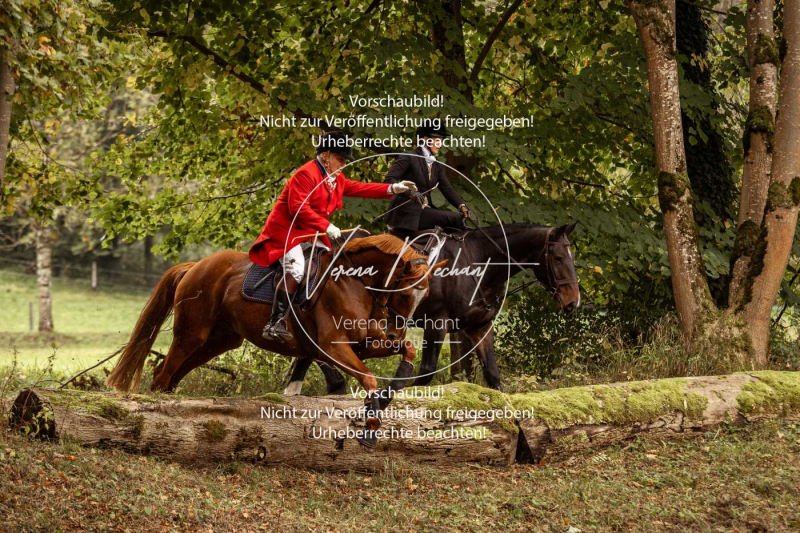 Schleppjagd_Herrenchiemsee-169 Schleppjagd_Herrenchiemsee-169