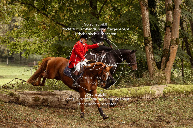 Schleppjagd_Herrenchiemsee-170 Schleppjagd_Herrenchiemsee-170