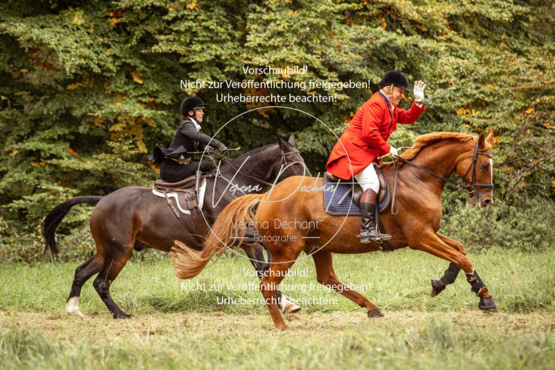 Schleppjagd_Herrenchiemsee-173 Schleppjagd_Herrenchiemsee-173