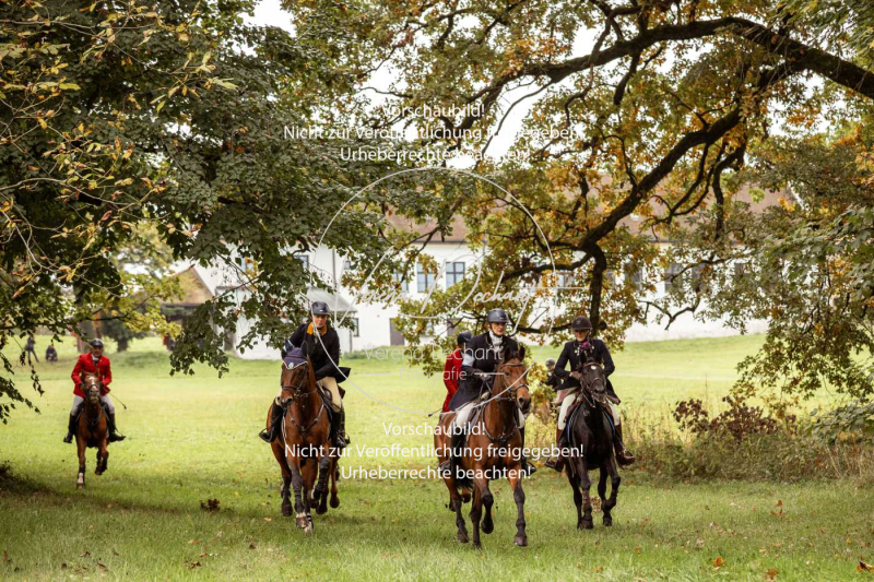 Schleppjagd_Herrenchiemsee-175 Schleppjagd_Herrenchiemsee-175