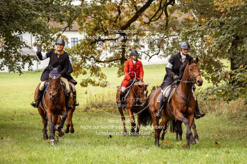 Schleppjagd_Herrenchiemsee-178 Schleppjagd_Herrenchiemsee-178