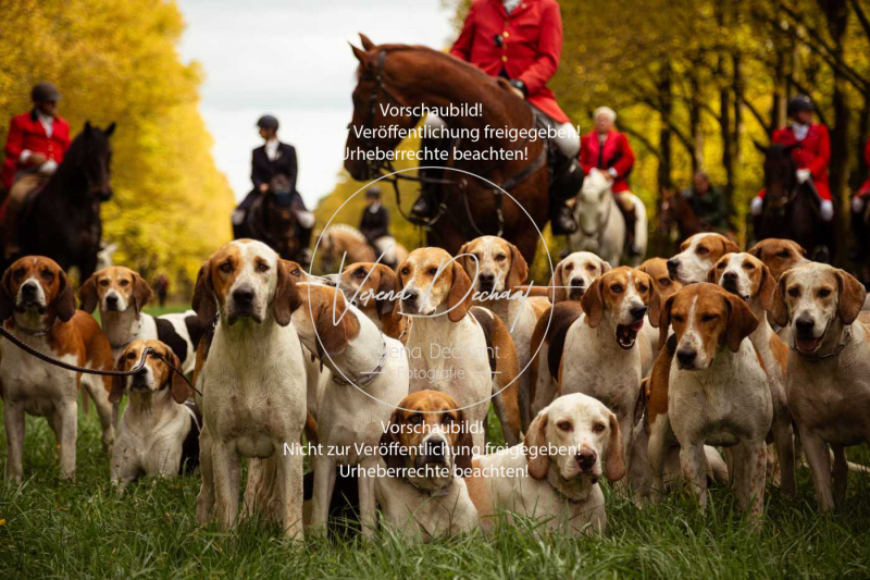 Schleppjagd_Herrenchiemsee-182-2 Schleppjagd_Herrenchiemsee-182-2