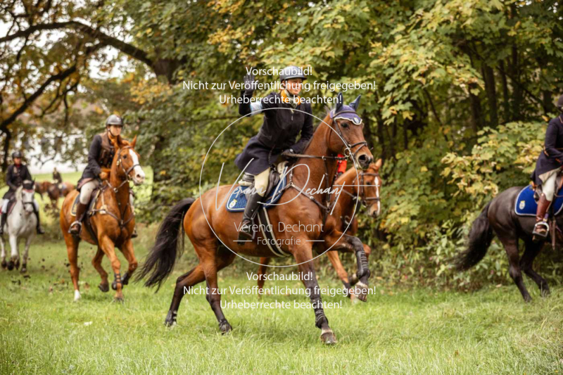 Schleppjagd_Herrenchiemsee-182 Schleppjagd_Herrenchiemsee-182