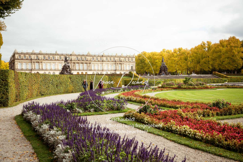 Schleppjagd_Herrenchiemsee-184-2 Schleppjagd_Herrenchiemsee-184-2