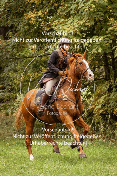 Schleppjagd_Herrenchiemsee-184 Schleppjagd_Herrenchiemsee-184