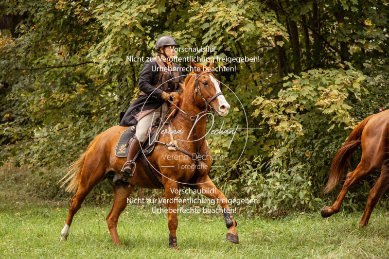 Schleppjagd_Herrenchiemsee-185 Schleppjagd_Herrenchiemsee-185