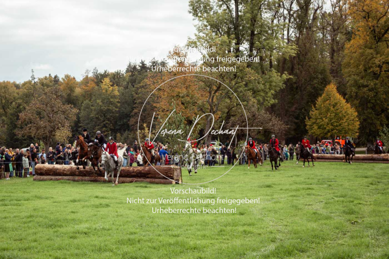 Schleppjagd_Herrenchiemsee-186 Schleppjagd_Herrenchiemsee-186