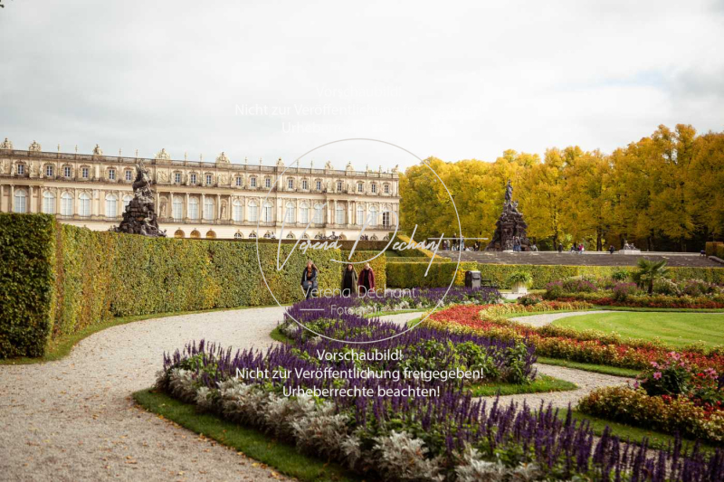 Schleppjagd_Herrenchiemsee-187-2 Schleppjagd_Herrenchiemsee-187-2