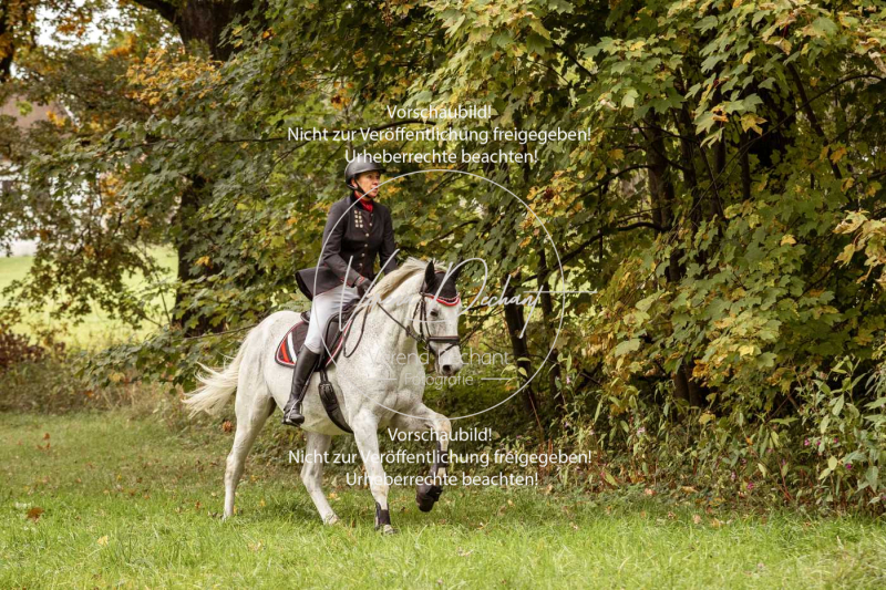 Schleppjagd_Herrenchiemsee-187 Schleppjagd_Herrenchiemsee-187