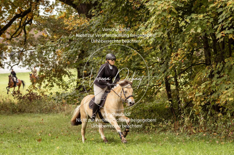 Schleppjagd_Herrenchiemsee-190 Schleppjagd_Herrenchiemsee-190