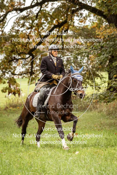 Schleppjagd_Herrenchiemsee-202 Schleppjagd_Herrenchiemsee-202