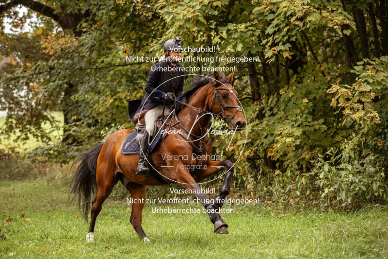 Schleppjagd_Herrenchiemsee-206 Schleppjagd_Herrenchiemsee-206