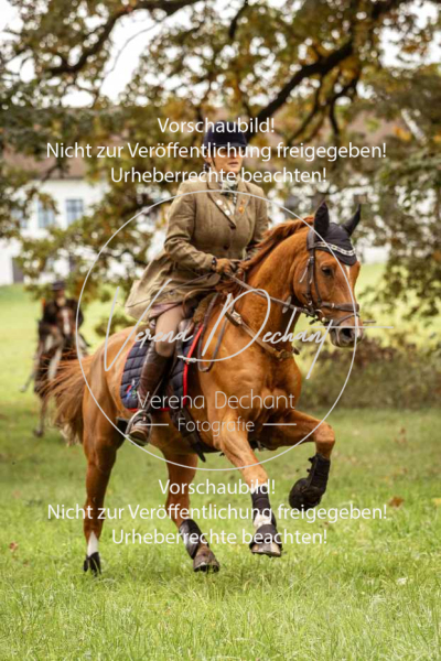 Schleppjagd_Herrenchiemsee-211 Schleppjagd_Herrenchiemsee-211