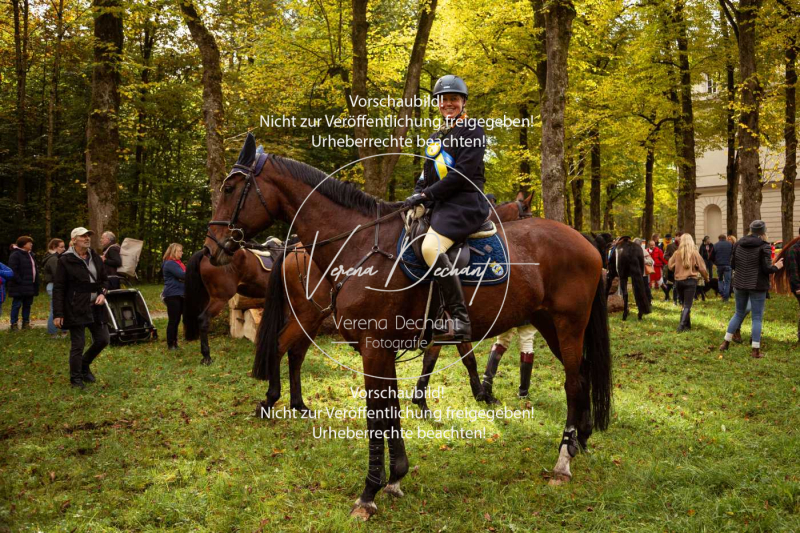 Schleppjagd_Herrenchiemsee-219 Schleppjagd_Herrenchiemsee-219