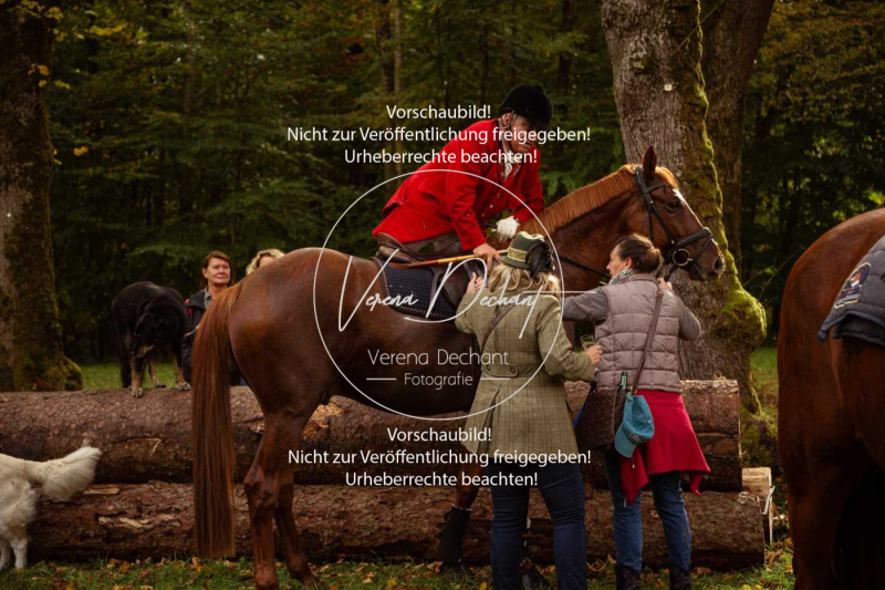 Schleppjagd_Herrenchiemsee-222 Schleppjagd_Herrenchiemsee-222