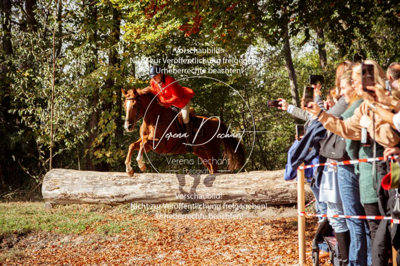 Schleppjagd_Herrenchiemsee-224-2 Schleppjagd_Herrenchiemsee-224-2